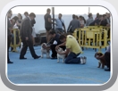 V CONCURSO NACIONAL CANINO DE SAN VICENTE