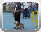 V CONCURSO NACIONAL CANINO DE SAN VICENTE