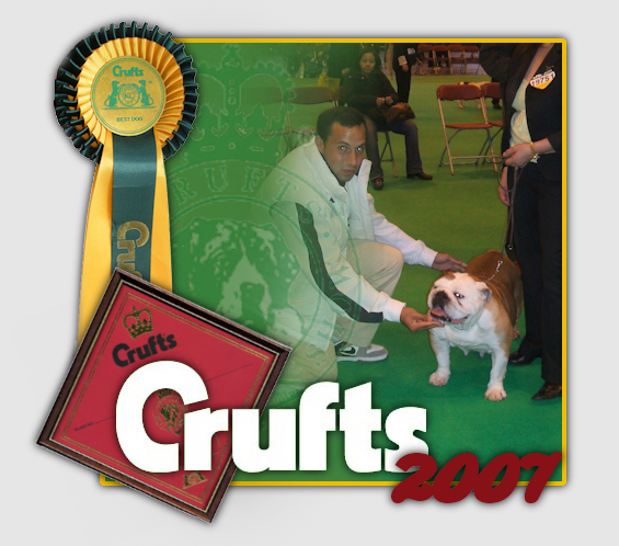 Crufts 2007 Bulldog Ingles Canchas Mahan