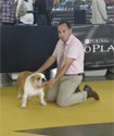 foto24index