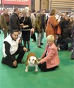 foto26index
