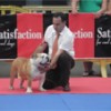 foto28index