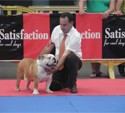 foto28index